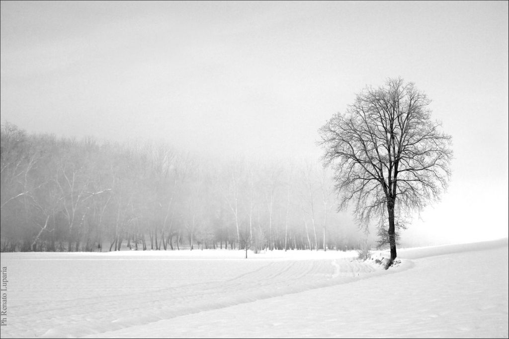 “Il suono del silenzio”, di Luparia